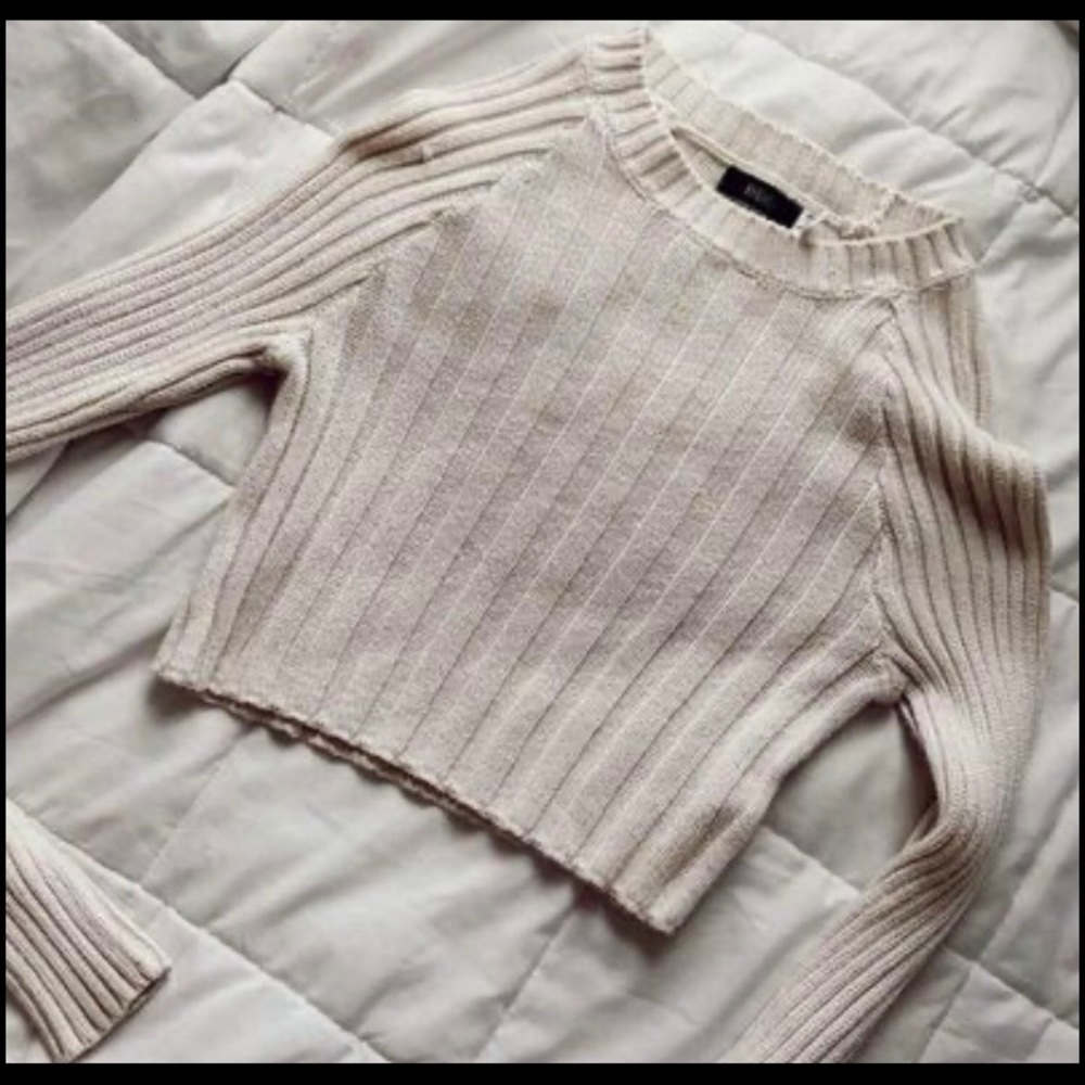 BDG Cropped Ribbed Sweater